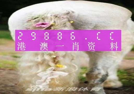 疫报 第773页