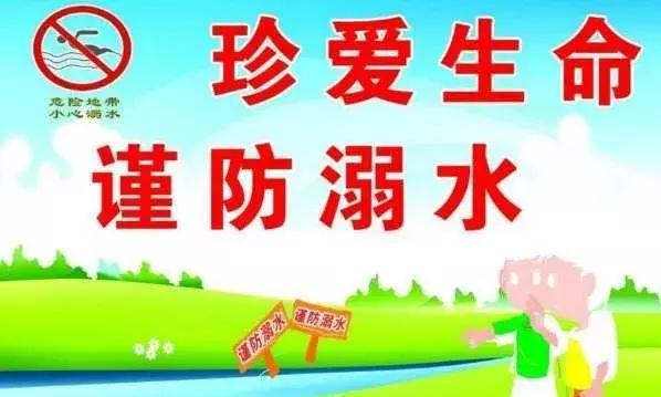 上小学一个月的感受，澳门教育的独特魅力