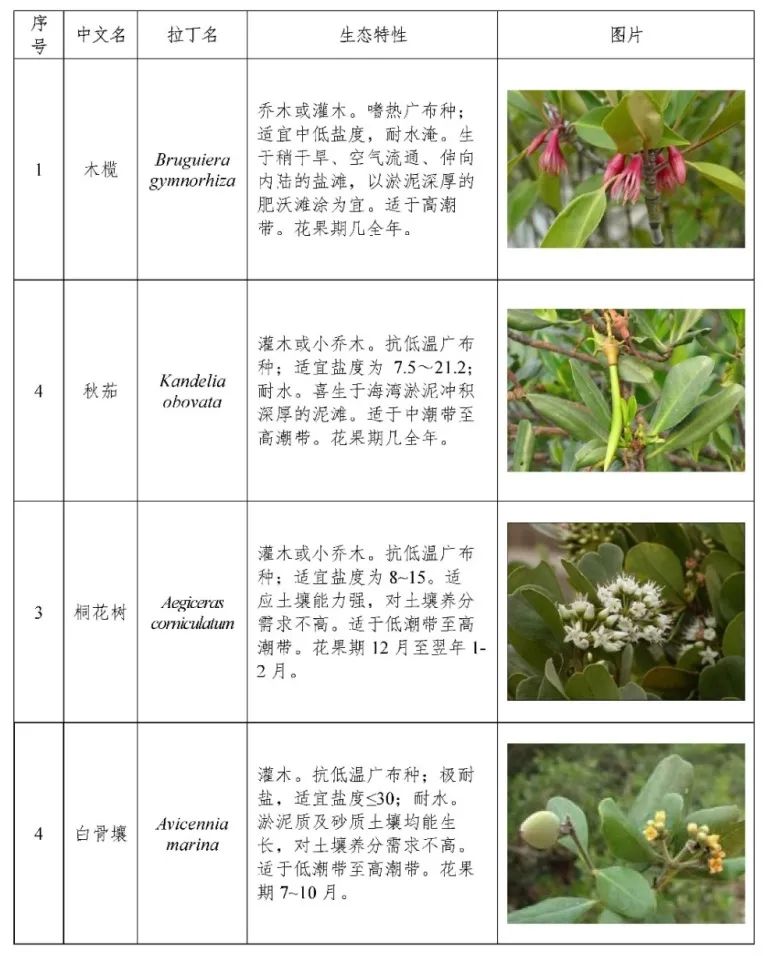 澳门知识系列，广东省常见植被特征