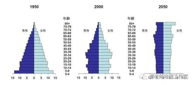 最新年龄段划分标准，探索澳门人口结构的新视角