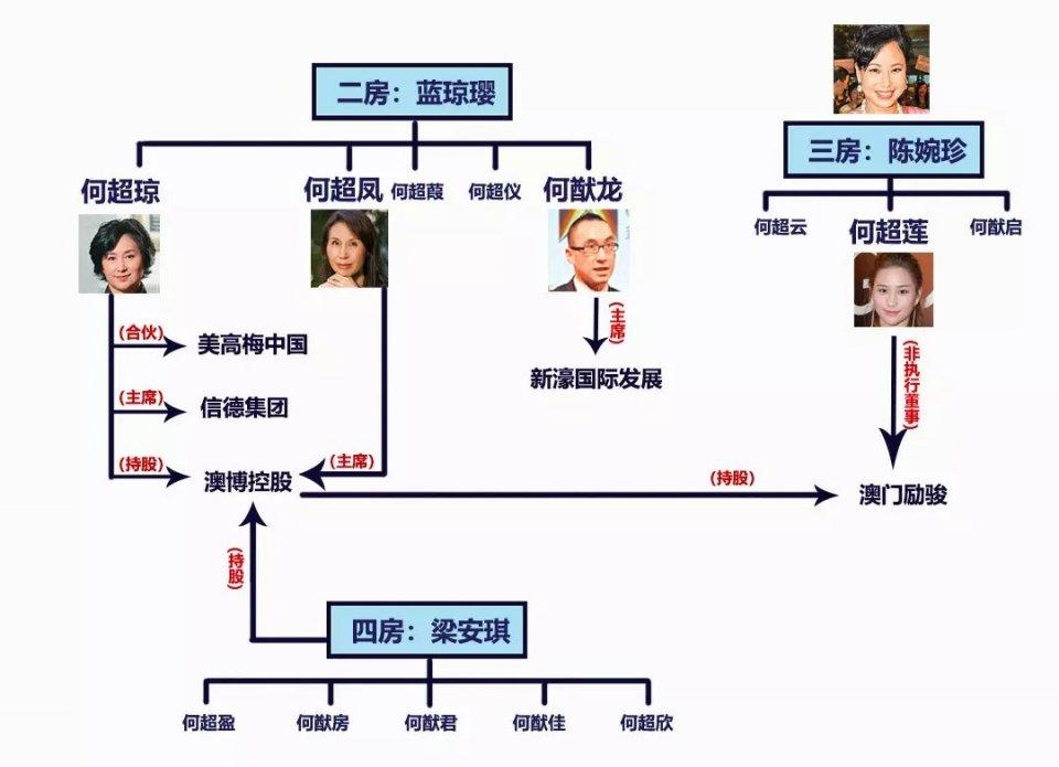 最新三张牌，澳门知识类专家的深度解读