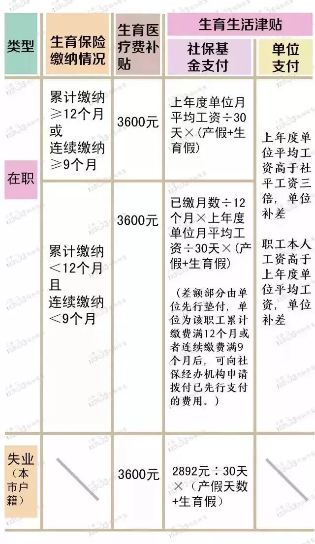 上海最新产假政策解析，职场妈妈的权益与未来展望